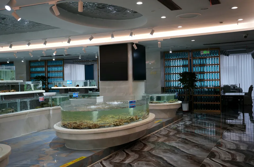 Longjiang Seafood Restaurant, Xining — completed project photograph.