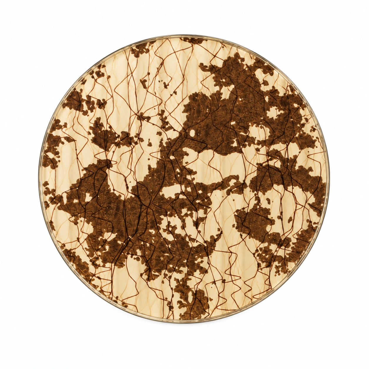 Glass Sample 026